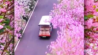 Bunga paling keren