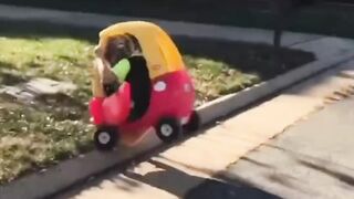 FUNNY-FAILS-VIDEO-COMPILATION-