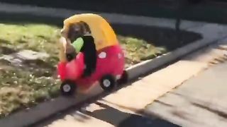 Tiktok funny videos
