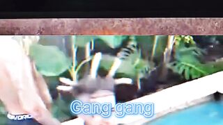 Kevin hart and snoop dogg react to island boy