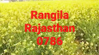 rangila#shortsvideovairalmusic