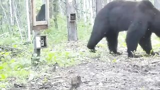 Funny short????????????