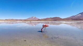 Most Beautiful and amazing places of the world.