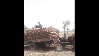Tractor trolley load stunt