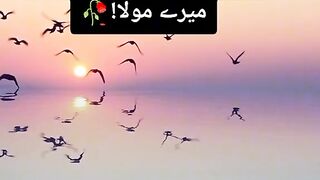 Missing my walid sahb