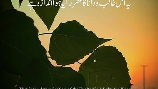 Quran translation in urdu | Quran urdu tarjuma ❤️