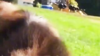 Animal are very funny