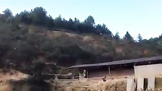 Chicks