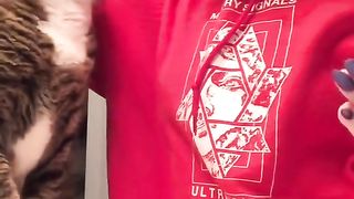 cat very nice clip#viral