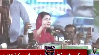 نواز شریف چور ہیں