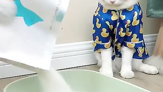 PrettyLitter