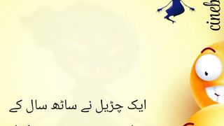 Hilarious Urdu Jokes That Will Make You Laugh Out Loud! #shorts #Part02 #markhor