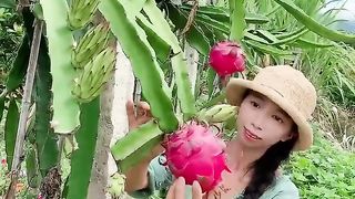 #beautiful nature