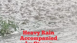 Heavy Rain Accompanied by Strong Winds