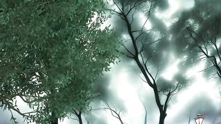Beautiful Nature