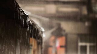 Embracing the Beauty of Nature: Experience the Joyful Feeling of Dancing in the Rain During a Refreshing Rain Shower