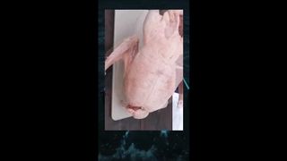 Funny video random 2023
