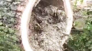 Nice video ????