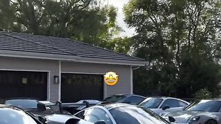 crazy rich