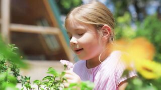 Garden Bed Kit