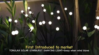 Solar Garden Light