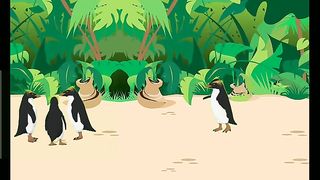 Wao beautiful penguins is so cute