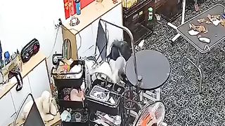 The dog was hanged