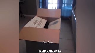Video drôle