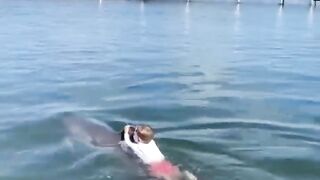FISH MOVE