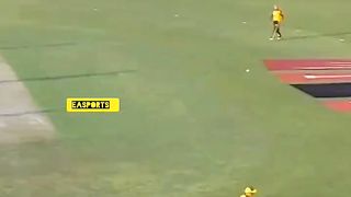 Shaheen Afridi Batting #psl8 #viralvideo #hojajazbaati #spotifyonlyyou #sabsitarayhumaray