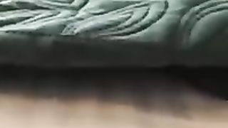 Funny & Cute Cats Compilation (TikTok) @shorts .????????????