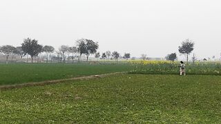 Manual procedure to fertilize crop