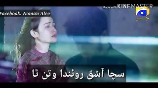 SACHA ASHAQ