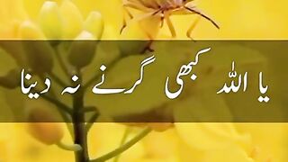 Islamic vedio