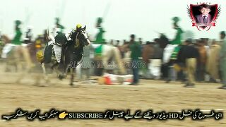 #Horses Riding part 14#jhamra#darbar#kaly#shah