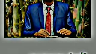 বাংলাদেশি বাঁশ
