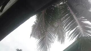 kiat sukses usaha ayam petelor merah.