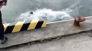 TikTok funny fail