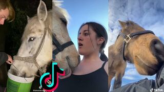 Horse Fails/Falls - TikTok Compilation#7