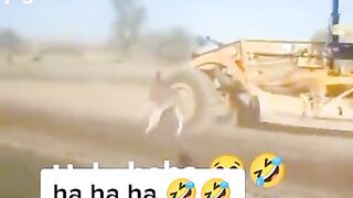Funny video