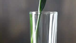A perfect time to consume wheatgrass juice????