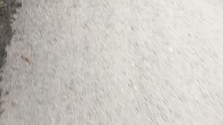 Walking in The Morning
