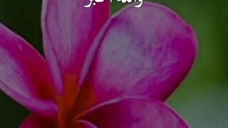 قال رسول اللهﷺ