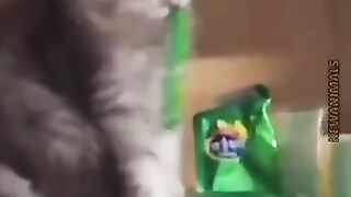 Funny moments #2