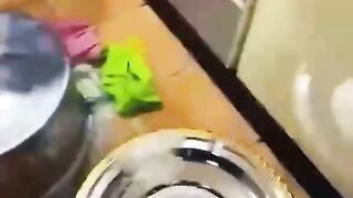 Funny clips ???? ???? ???? ???? ???? ???? ????