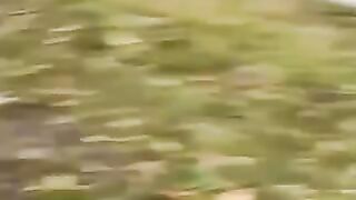????funny moments