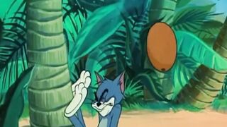 Tom And Jerry