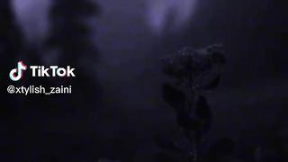 Great_song_plz_like_and_comment