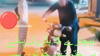Most Funny Petrol
