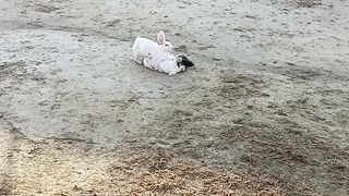 Rabbit Mother
